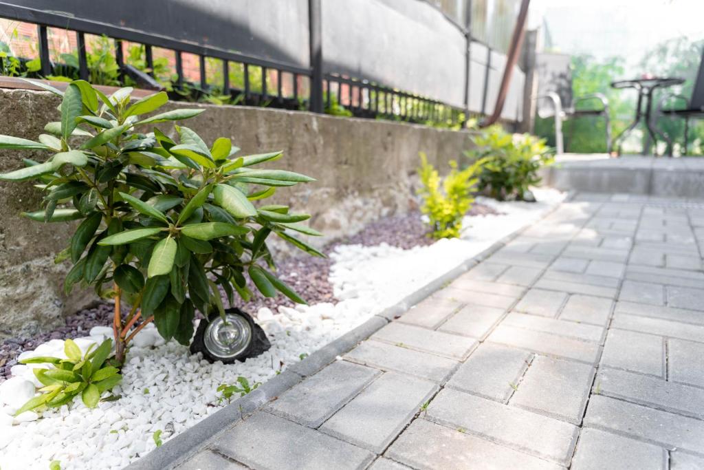 Priveliște la munte